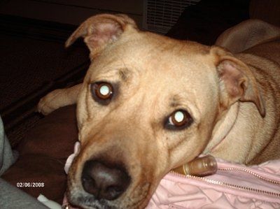 Adopted our 1st baby! (PICS)