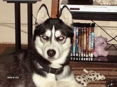 Adopted our 1st baby! (PICS)
