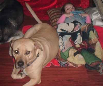 SBR: Meet my Fur-babies, lets see yours too