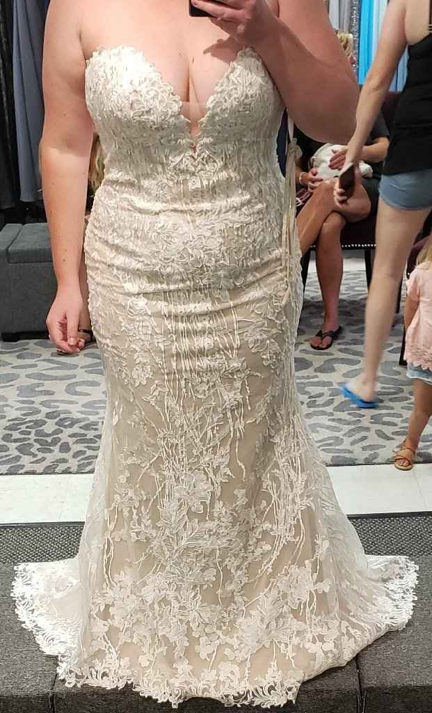 Wedding Dress Thoughts - 1