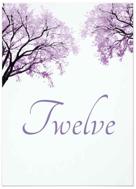 Table Card Cardstock