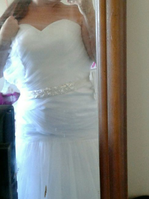 yes to the dress it finally came in