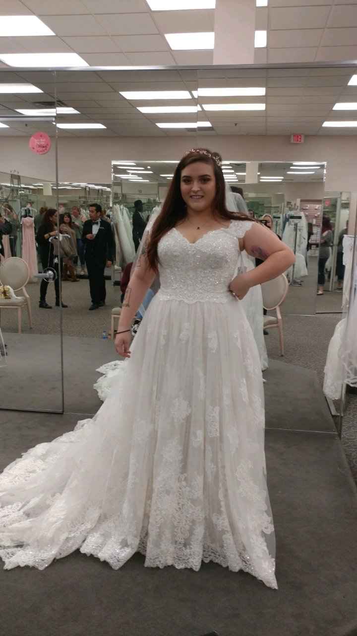 Veil or no veil? - 1