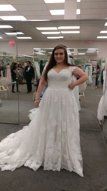 Veil or no veil? - 1