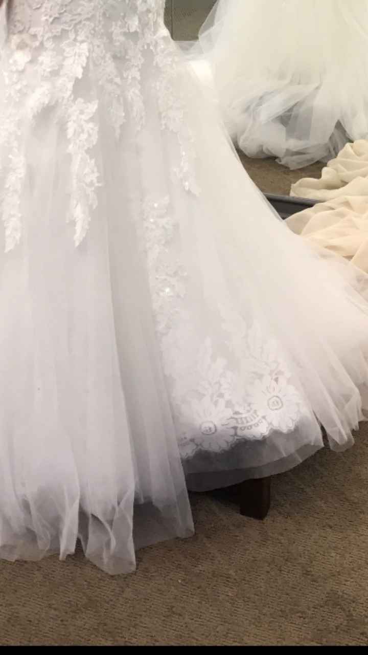 What type of flowers are these? - 1