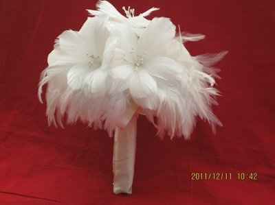 I have fallen in love with feathers!