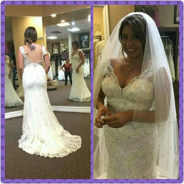 Paging Allure brides