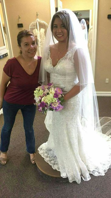 I want to see dresses!