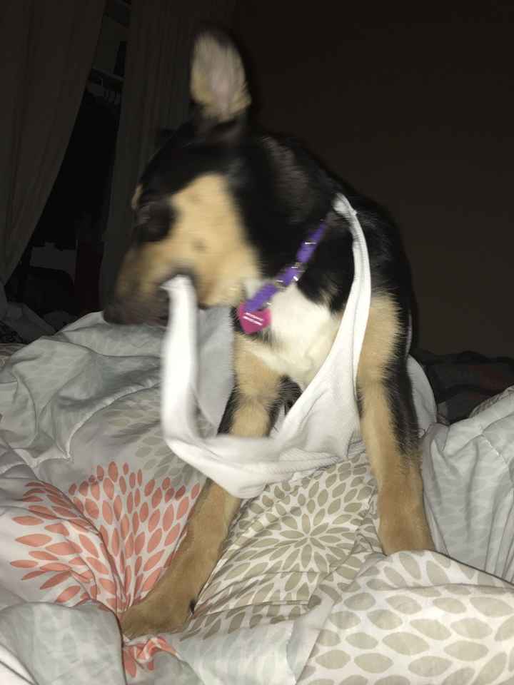 Show Me... Cheering Up!