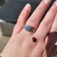 2025 Brides - Show us your ring! - 2