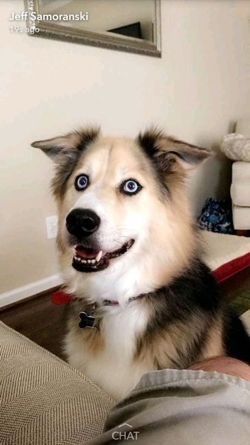 Nwr- show me your fur babies