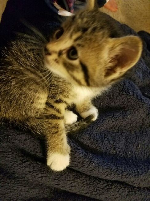 NWR Our newest addition to the family