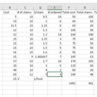 flower spreadsheet.
