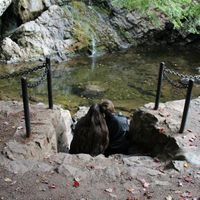We had engagement photos done in October, and I forgot to share them! :)