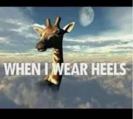 NWR: Tall girl problems