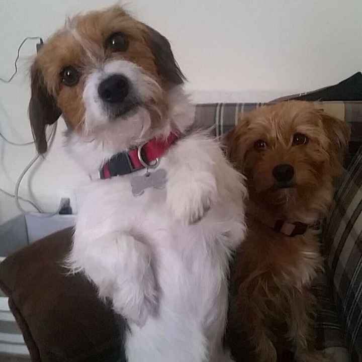 NWR: Show me your pups!