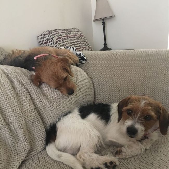 NWR- pets! We love them show me yours :)