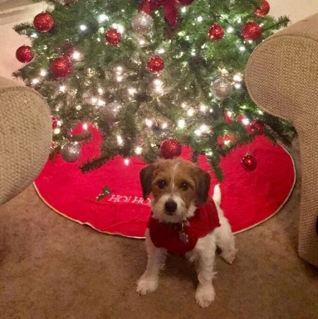 NWR- Furbaby Appreciation Post
