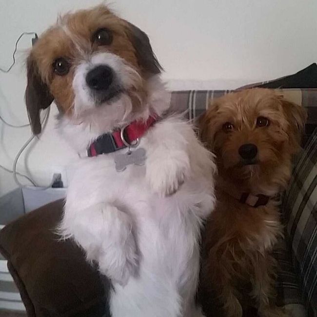 NWR: Show me your pups!