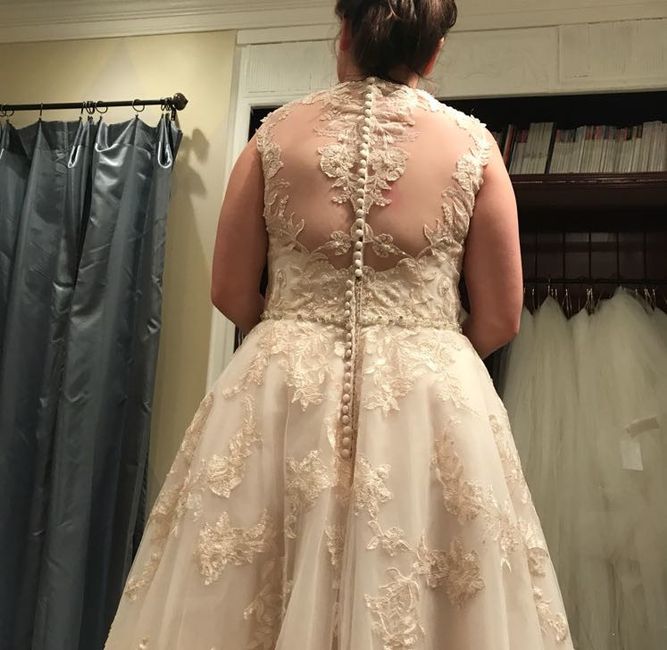 Back of dress