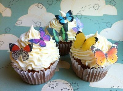 Where we found the sugar birds and butterflies!!!