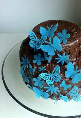 Where we found the sugar birds and butterflies!!!