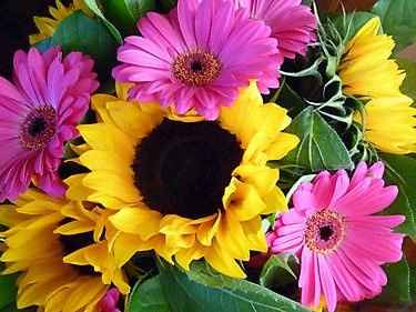 Sunflower bouquets with BM's purple dresses?