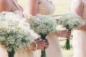 Flower ideas/ alternatives