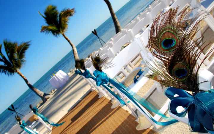 Peacock and beach theme?