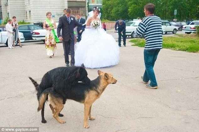 Google "funny wedding pic" or "horrible wedding pic" and post your favorite that popped up!