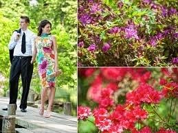 Printed Dress for Engagement Photos?