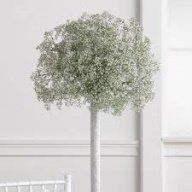 Centerpieces