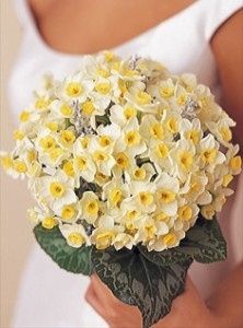 March brides? Flowers?