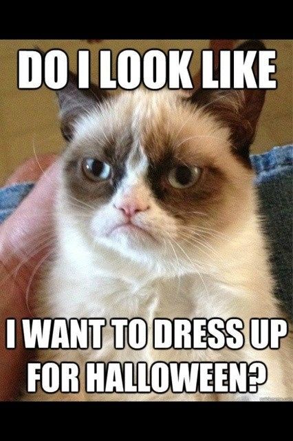 Halloween is just around the corner! What are you going as?