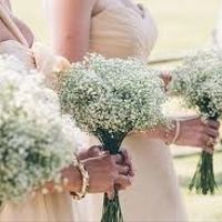 Flower Budget