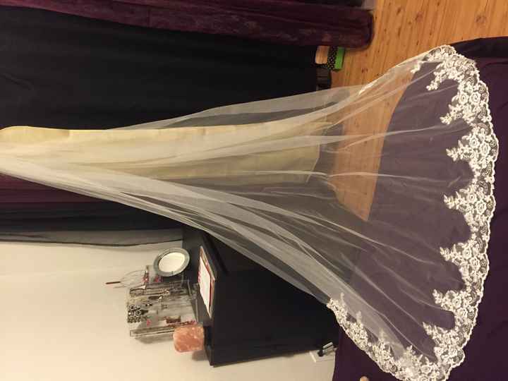 A beautiful gifted veil!