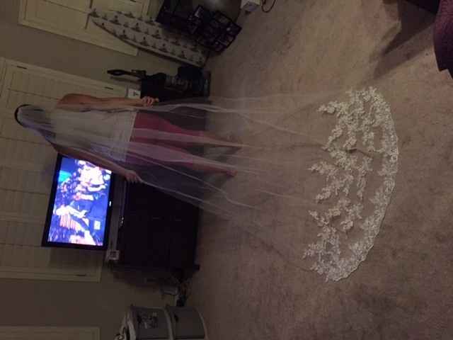 wedding veil from ebay ????