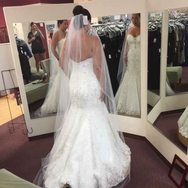 A little Monday Dress Porn-- Pics from my final fitting!