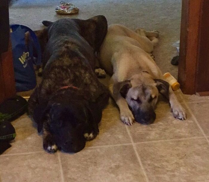 NWR: Show me your pups!