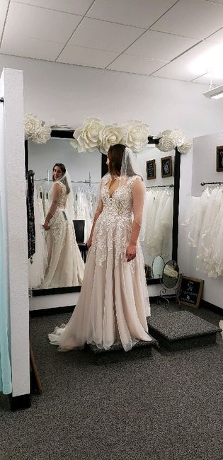 Did you say yes to the dress? - 1