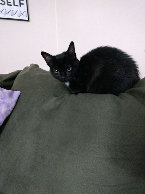 Something old, something new...