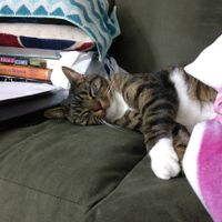 Something old, something new...