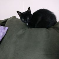 Something old, something new...