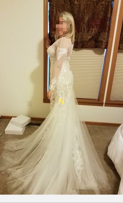 Ugh - Wedding Dress Blues - 2