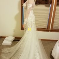 Ugh - Wedding Dress Blues - 2