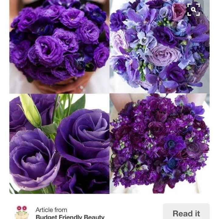 Need help with colors