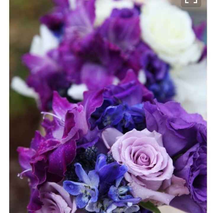 FH just doesn't like color