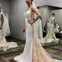 Dresses from David’s Bridal - 1