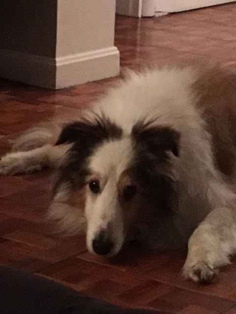 Alterations and RSVPs!