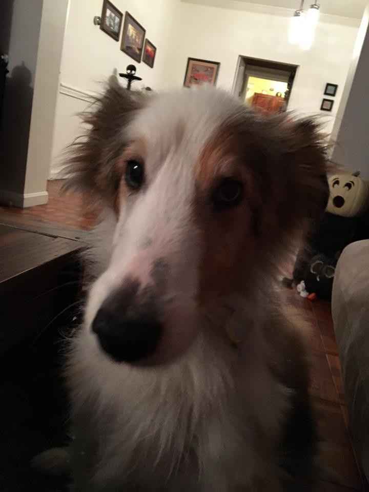 Alterations and RSVPs!